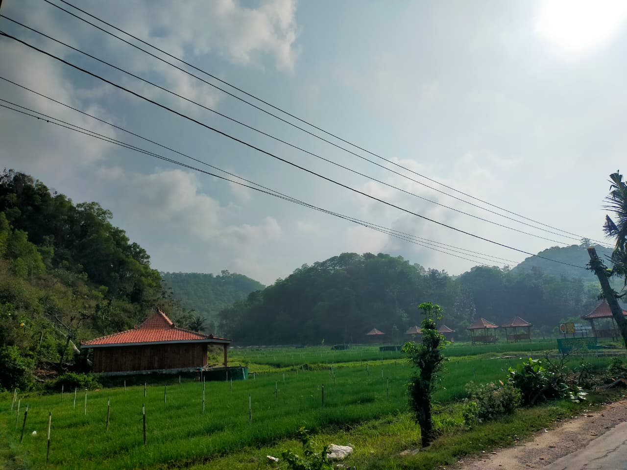 Wisata Edukasi Pertanian Bawang